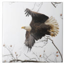 Suche nach fliegender fliesen Frei