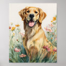 Suche nach goldene retriever poster Dogs