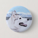 Recherche de husky badges Sibérien