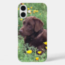 Recherche de labrador retriever iphone coques Laboratoire de chocolat