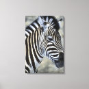 Recherche de zèbre art Rayures