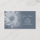 Recherche de marguerite blanche cartes visite Floral