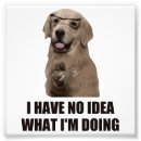 Suche nach lustig hund kodak poster Spaß