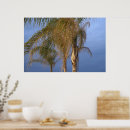 Recherche de estivales posters Tropical
