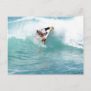 Suche nach wellenreiten postkarten Surfen