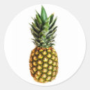 Recherche de ananas tropical autocollants Fruité