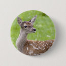 Suche nach kitz buttons Tier