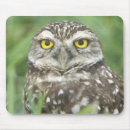 Suche nach äther mousepads Eule