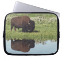 Suche nach draußen laptop schutzhüllen Wild lebende tiere