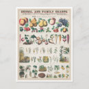 Recherche de utile cartes postales Vintage