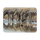 Recherche de afrique magnets Pittoresque