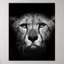 Suche nach afrikanisches tier poster Exotisch