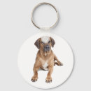 Suche nach ridgebacks schlüsselanhänger Rhodesian ridgeback
