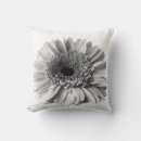 Suche nach gerbera kissen Fotografie