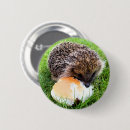 Suche nach igel buttons Lustig