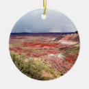 Suche nach gemalte ornamente Südwesten