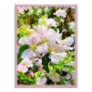 Suche nach obstbaum poster Naturfotografie