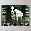 Recherche de humour vache posters Animal