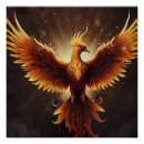 Recherche de poussin posters Faune