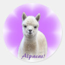 Suche nach alpaka aufkleber Tier
