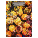Recherche de soyez ananas porte blocs Fruit