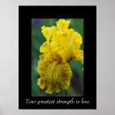 Recherche de iris fleur posters Fleurs