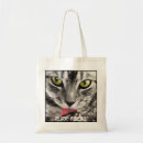 Recherche de chat adorable Animal