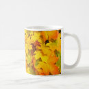 Recherche de érable feuille tasses Couleurs d'automne