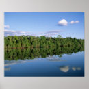 Suche nach amazonas regenwald poster Tropen