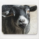 Recherche de agriculteurs tapis souris Animal