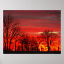 Recherche de arbre sans feuilles art Coucher du soleil