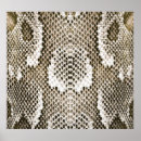 Recherche de python posters Animal