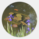 Suche nach koi fish aufkleber Karpfen
