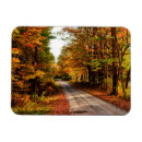 Recherche de automne s magnets Couleur