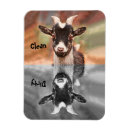 Recherche de de chèvre magnets Baryton