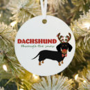 Recherche de blaireaux ornements Chien de blaireau