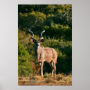 Suche nach easter poster Wild