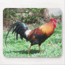Suche nach hahn mousepads Natur