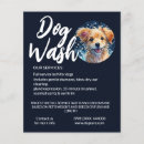 Suche nach für hundezüchter flyer Hundetrainer