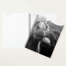 Recherche de divertissement bureau fournitures Photographie