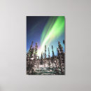 Suche nach alaska landschaft leinwandbilder Aurora borealis