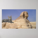 Recherche de chat de sphinx Pour tous