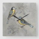 Suche nach aviary kunst Grau