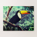 Recherche de toucan puzzles Faune