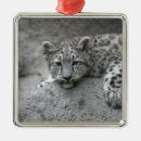 Suche nach monate ornamente Welpe