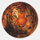 Recherche de visage tigre autocollants Abstrait