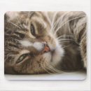 Suche nach die katzenaugen mousepads Haustier