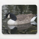 Suche nach kanada mousepads Gänse