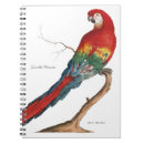 Suche nach scharlachrot macaw Ara