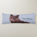 Recherche de chat bleu russe coussins Minou